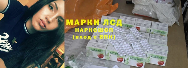 прущие грибы Белокуриха