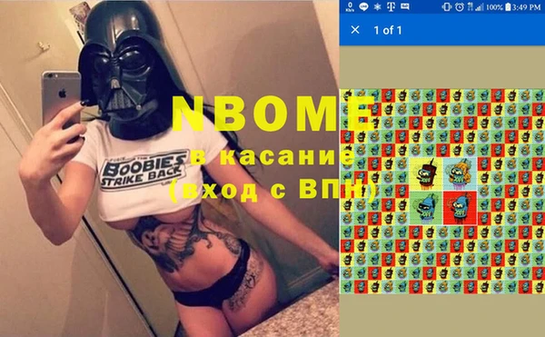 прущие грибы Белокуриха