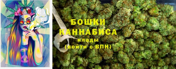 прущие грибы Белокуриха