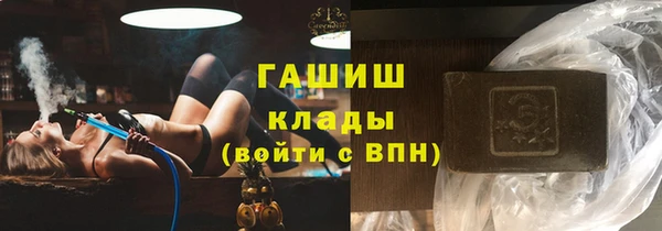 прущие грибы Белокуриха