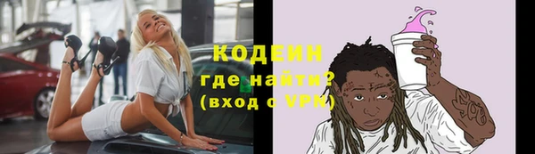 прущие грибы Белокуриха