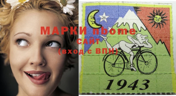 прущие грибы Белокуриха