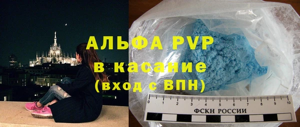 прущие грибы Белокуриха