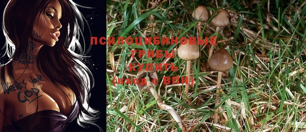 MDMA Premium VHQ Беломорск