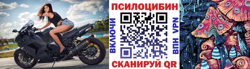 Галлюциногенные грибы Psilocybe  закладки  Ханты-Мансийск 